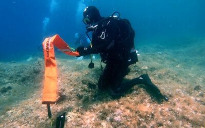 Kampf gegen Plastikmüll: WWF weitert Offensive gegen Geisternetze im Mittelmeer aus