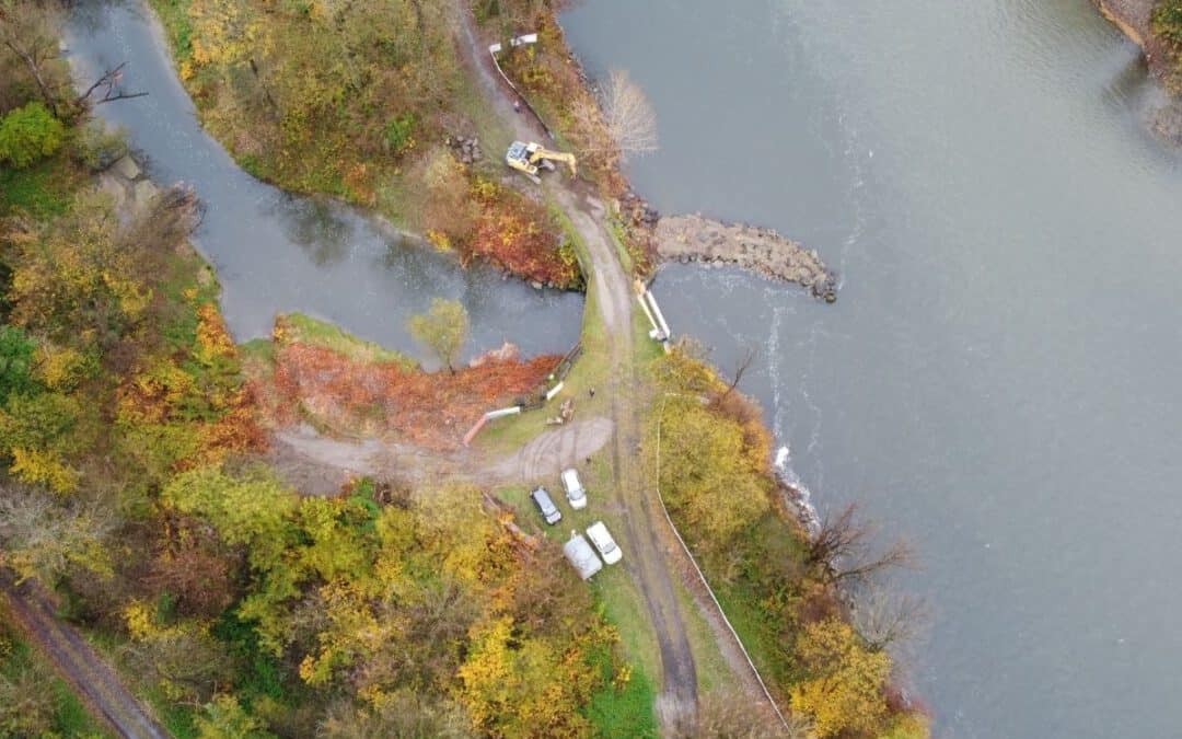 WWF-Erfolg: Mehr Wasser für den Mühlbach