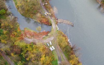 WWF-Erfolg: Mehr Wasser für den Mühlbach