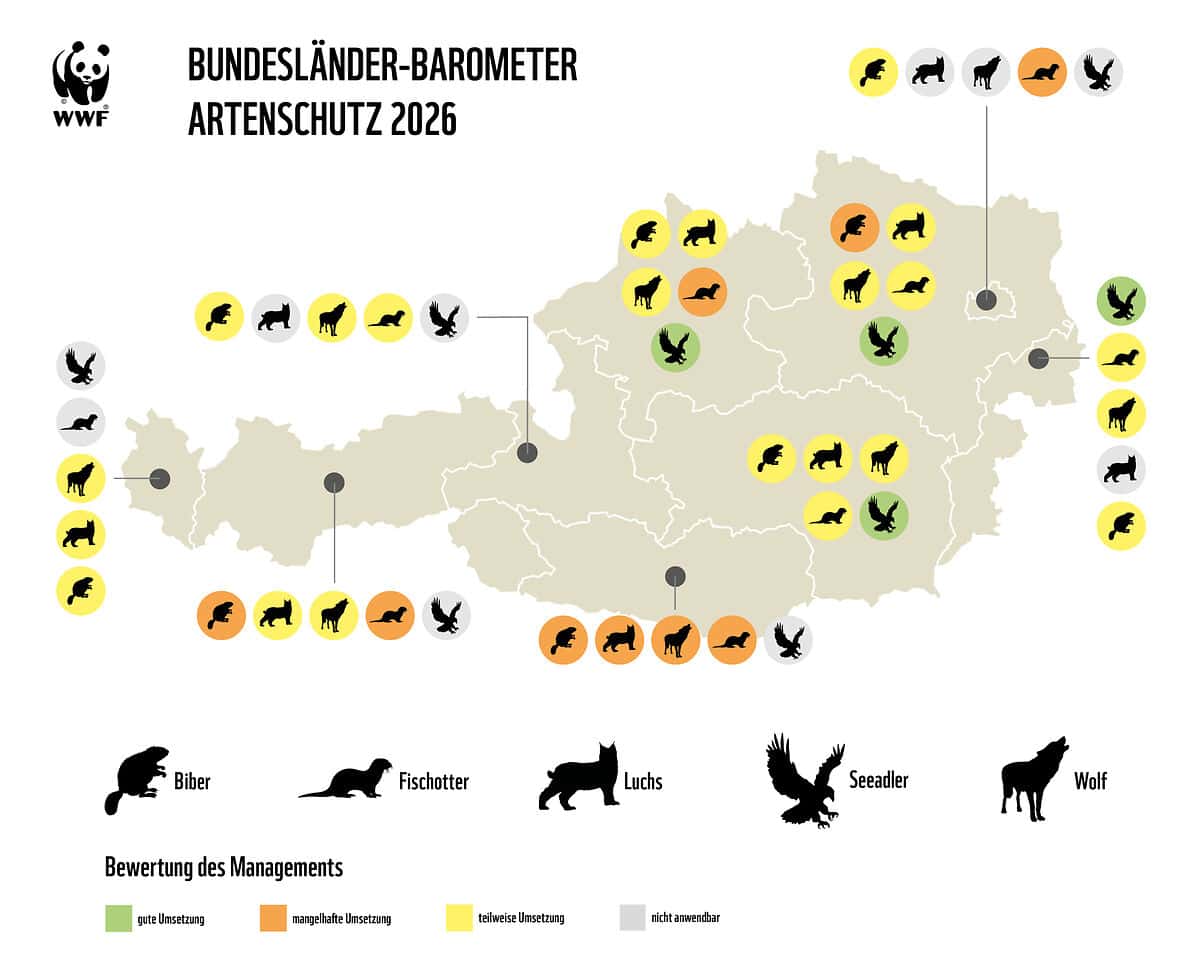 Zusammenfassung WWF Bundesländerbarometer 2026 (c) WWF Zusammenfassung WWF Bundesländerbarometer 2026 in einer Grafik