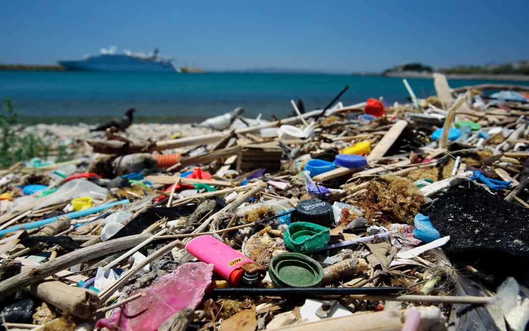 Rekordtemperaturen, Massentourismus, Überfischung: WWF fordert 5-Punkte-Schutzpaket für das Mittelmeer