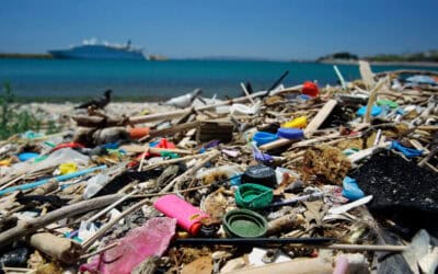 Rekordtemperaturen, Massentourismus, Überfischung: WWF fordert 5-Punkte-Schutzpaket für das Mittelmeer