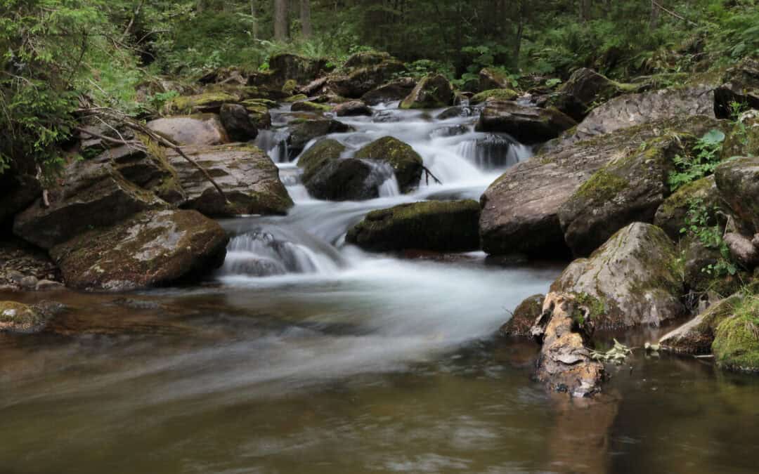 Fluss des Jahres