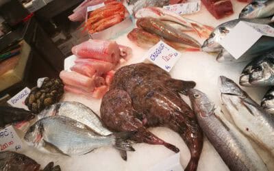 Fischkonsum im Urlaub: WWF warnt vor Importware und verstecktem Haifisch-Fleisch