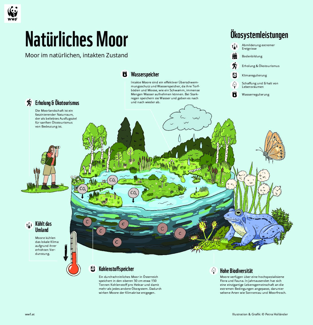 Cover WWF-Handbuch: Natur verbindet
