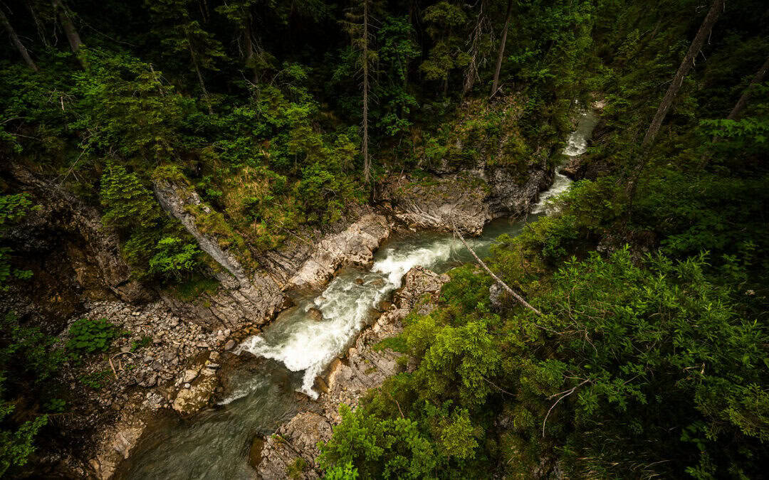 Namlosbach: WWF kritisiert irreführende Aussagen der E-Werke Reutte