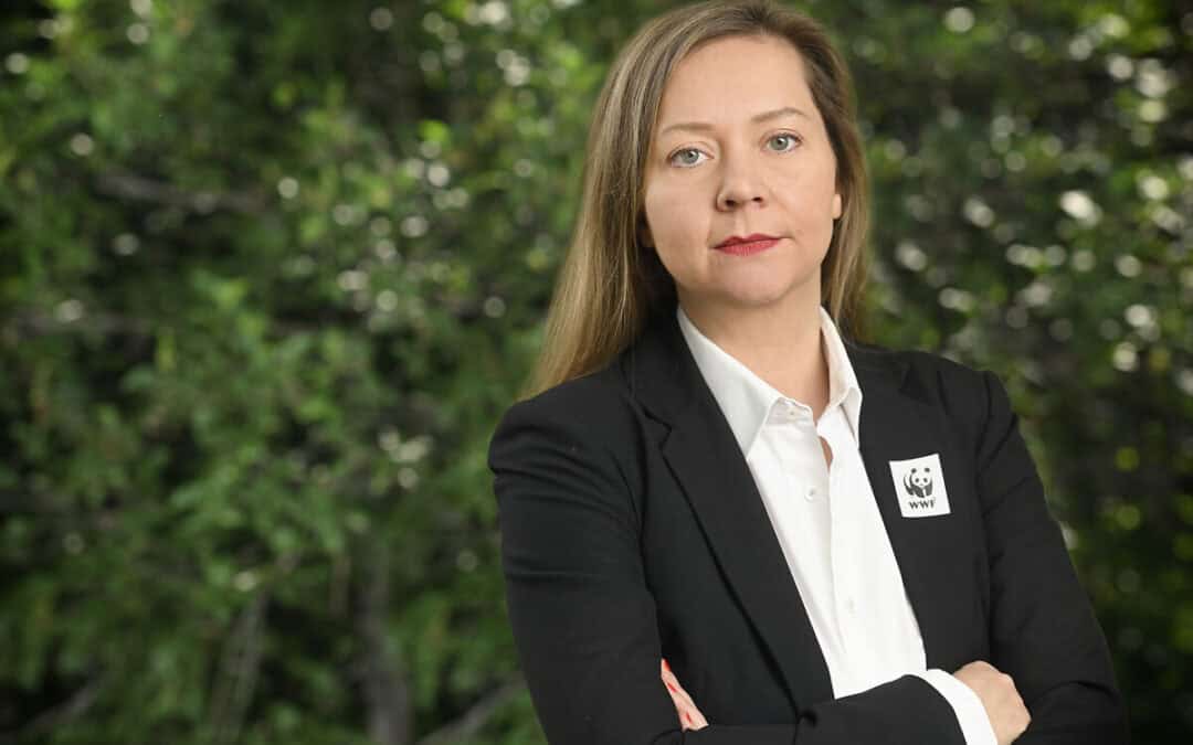 WWF: Österreich verschwendet täglich rund 140 Lkw-Ladungen Lebensmittel
