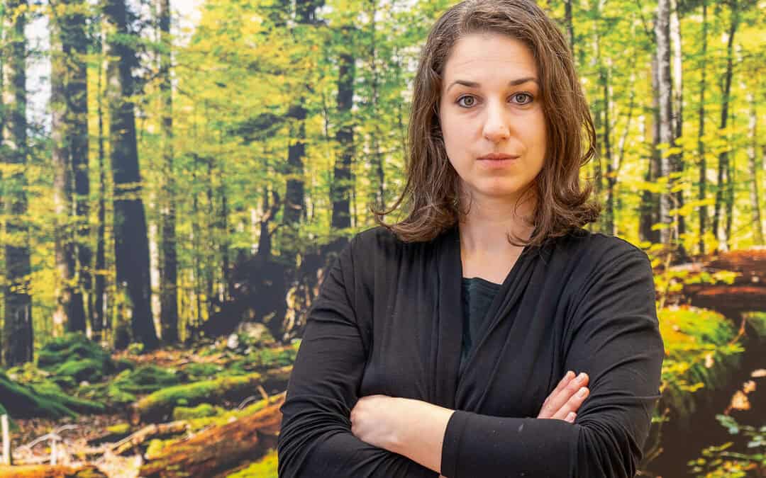 WWF-Umfrage: Führungskräfte sehen ökologischen Umbau als Wettbewerbsvorteil