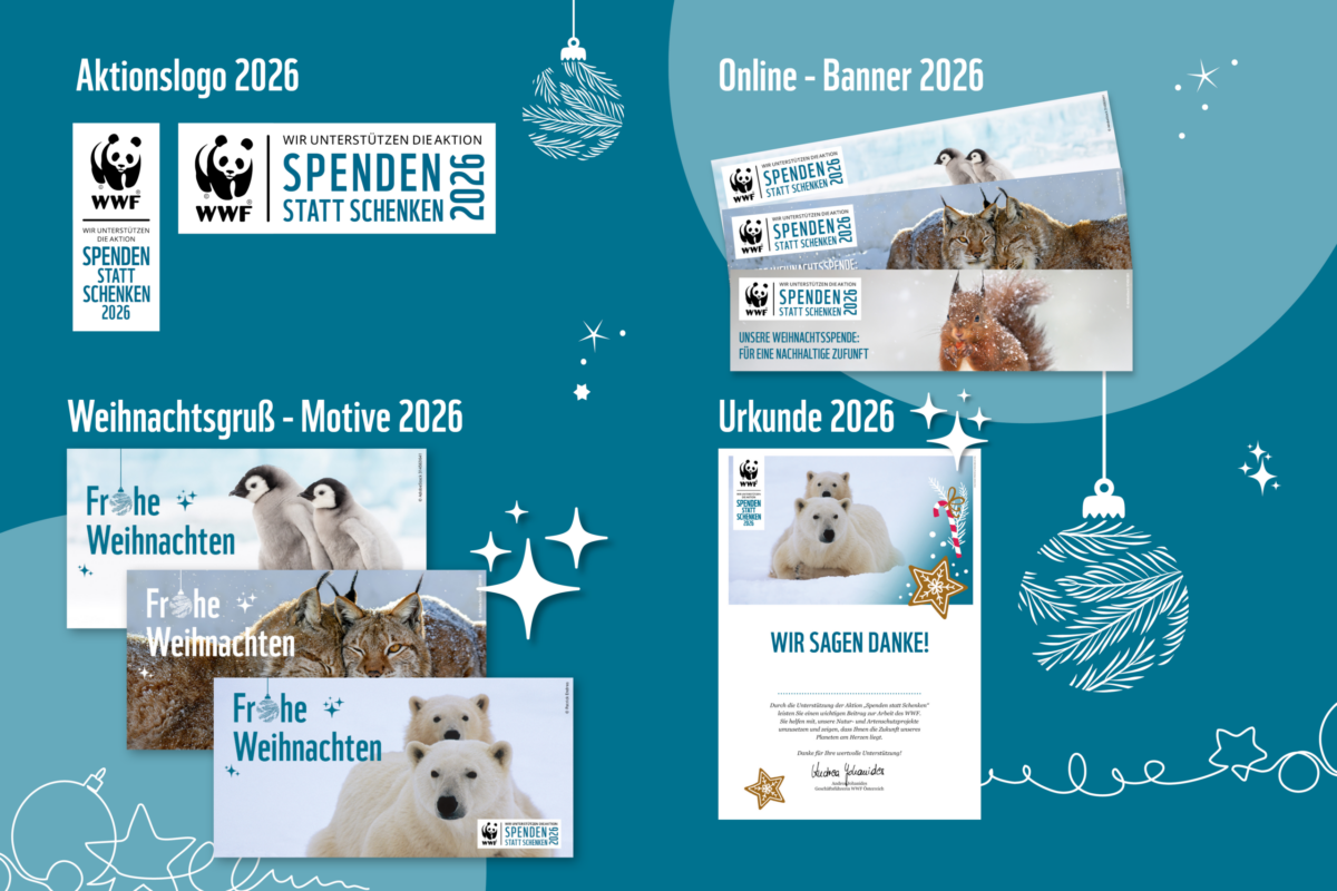 Spenden Statt Schenken Kommunikationspaket Spenden Statt Schenken Kommunikationspaket