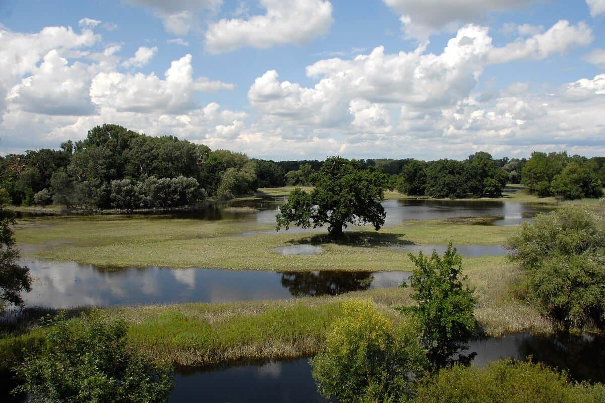 Naturreservat-Marchegg