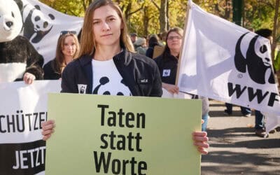 WWF zu Klimaschäden: Bundesregierung muss Klimaschutz und Vorsorge stärken