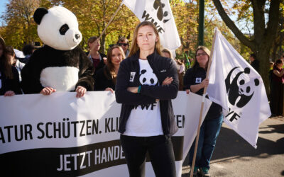 Klimastreik: WWF fordert Notfall-Programm für Klima und Natur
