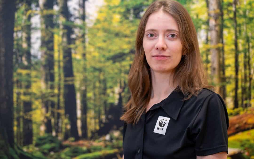 WWF-Städtecheck: Große Lücken bei Stadtbegrünungsplänen