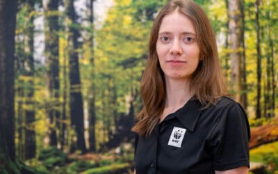 WWF-Städtecheck: Große Lücken bei Stadtbegrünungsplänen