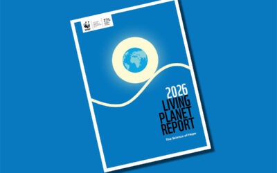 Business Unusual: Was die Erkenntnisse des Living Planet Report 2026 für Ihr Unternehmen bedeuten